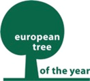 Europäischer Baum des Jahres 2016