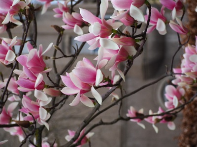 Besucherfoto April 2019