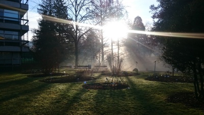 Nebeliger Sonnenaufgang