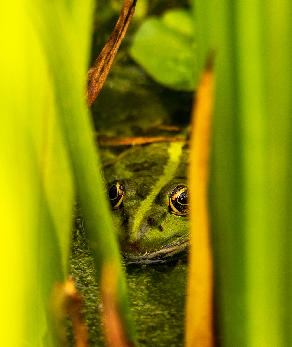 Besucherfoto Mai 2018