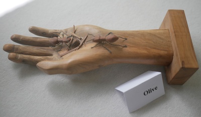 Holzfigurenausstellung 2