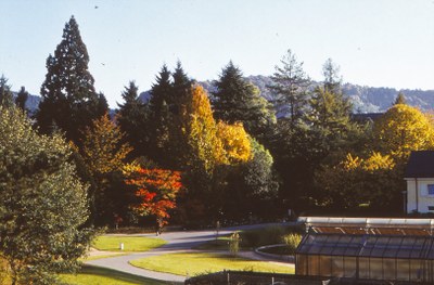Botanischer Garten 1976_4
