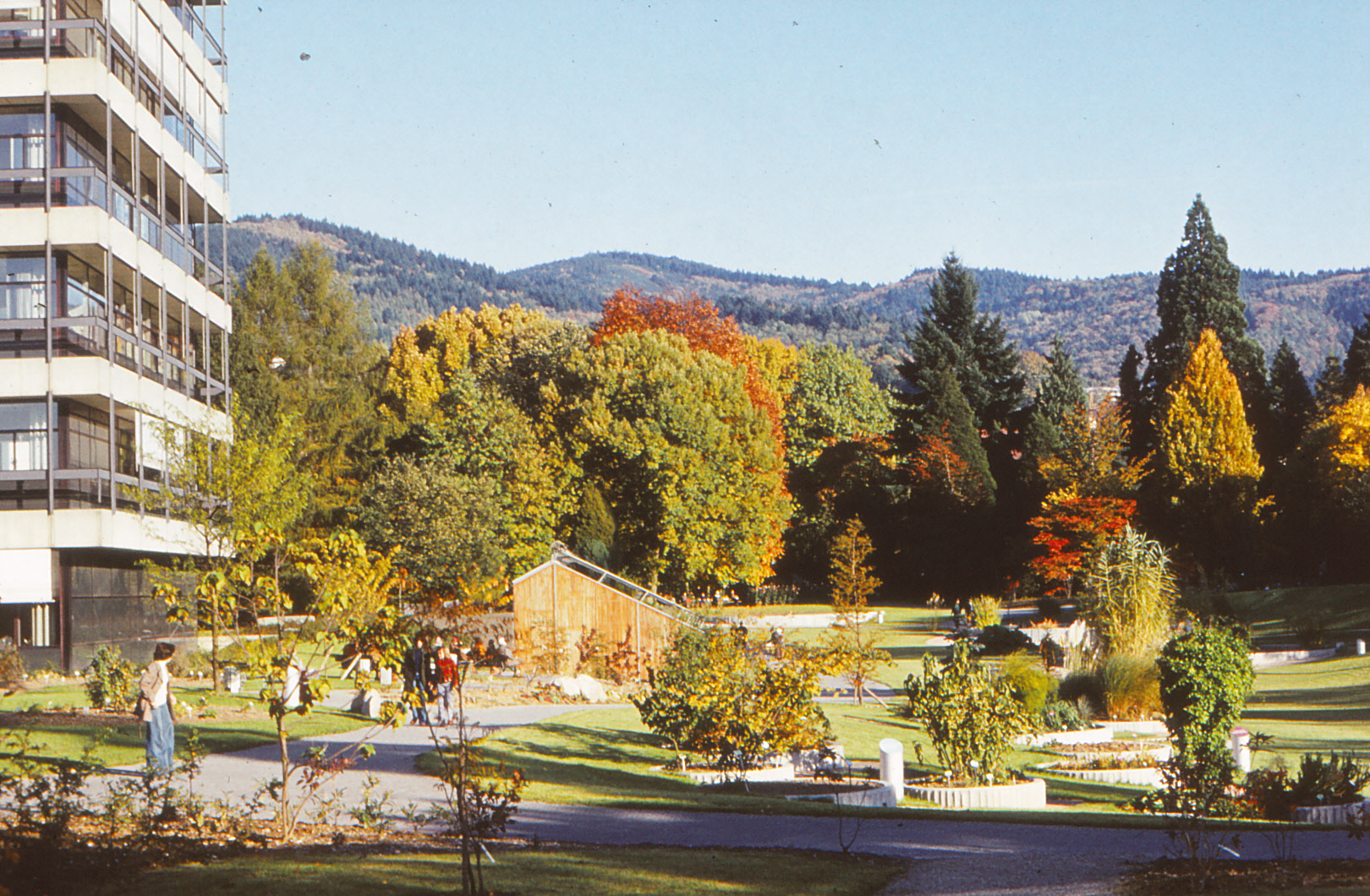 Botanischer Garten 1976_6