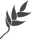Heliconia