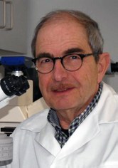 Dr. Hanns-Heinz Kassemeyer