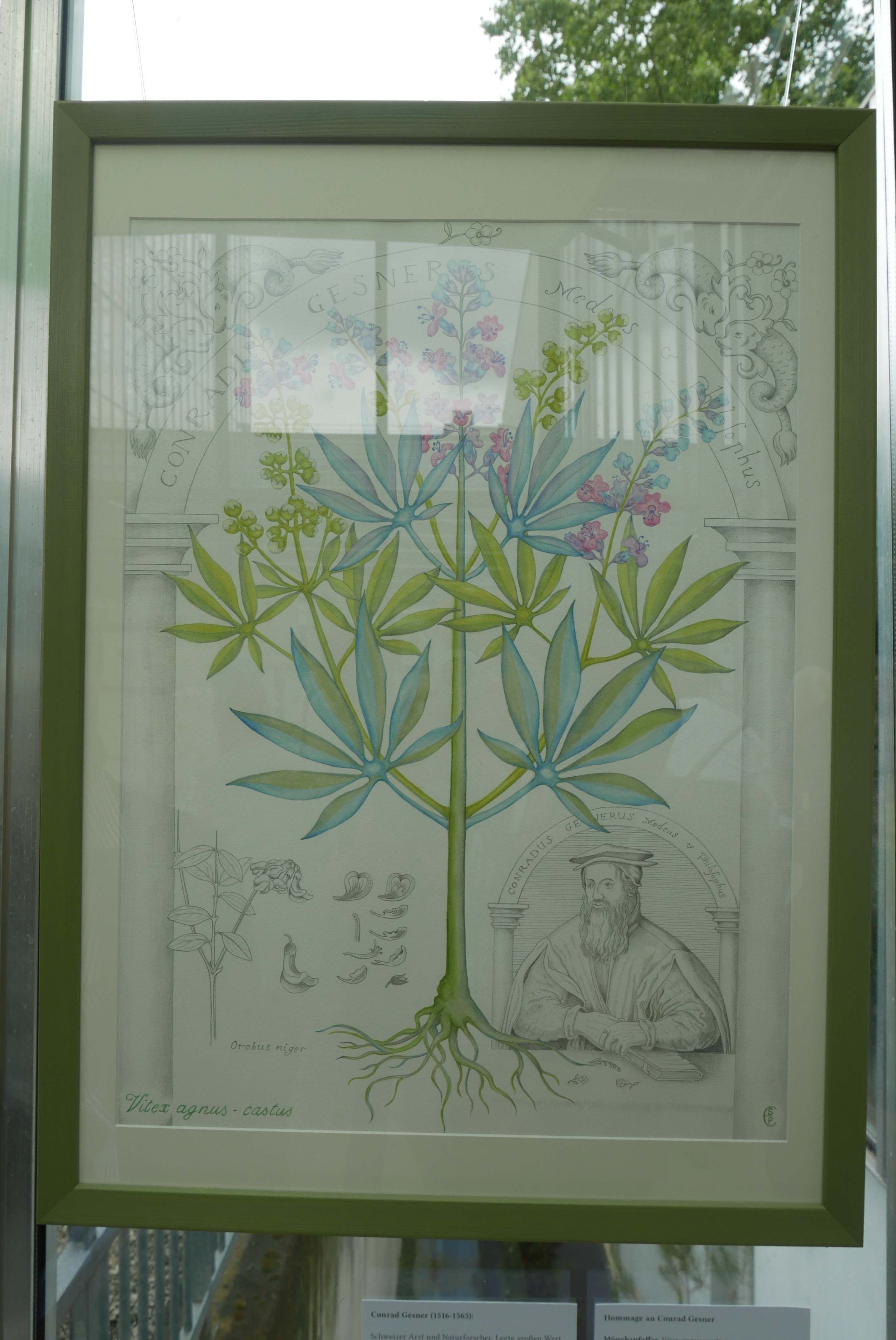 Woche der Botanischen Gärten 2016 Ausstellung