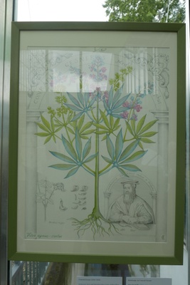 Woche der Botanischen Gärten 2016 Ausstellung