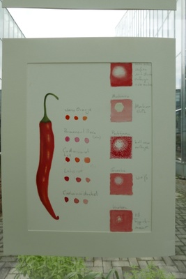 Woche der Botanischen Gärten 2016 Ausstellung1