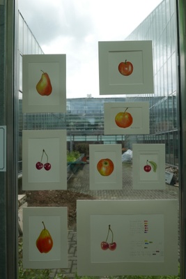 Woche der Botanischen Gärten 2016 Ausstellung3
