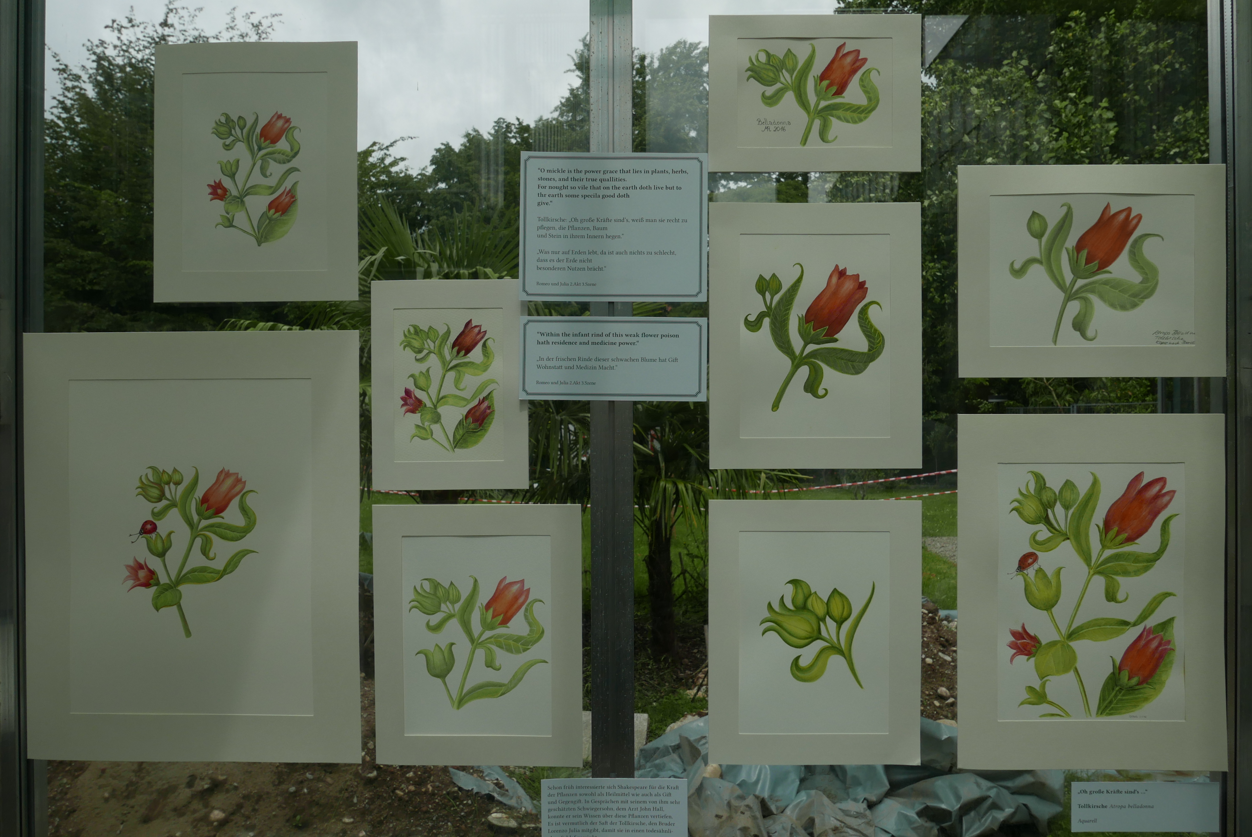 Woche der Botanischen Gärten 2016 Ausstellung6