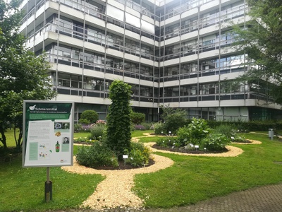 Heilpflanzenbeete