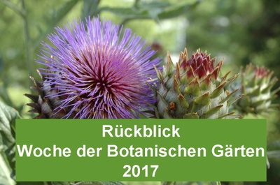 Rückblick Woche der Botanischen Gärten 2017