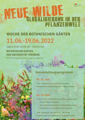 Poster mit Programm