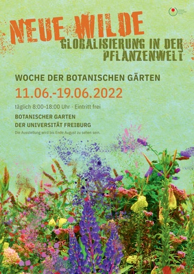 Poster ohne Programm